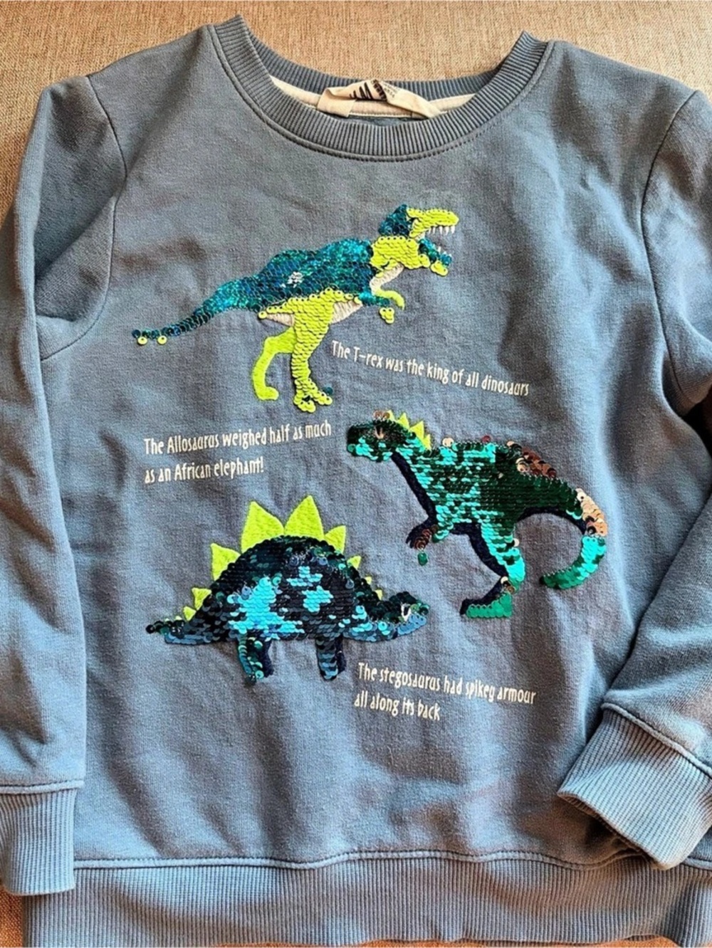 H&M Boys 4-6Y Blue Flip Sequin Dinosaur Sweatshirt T-Rex Stegosaurus